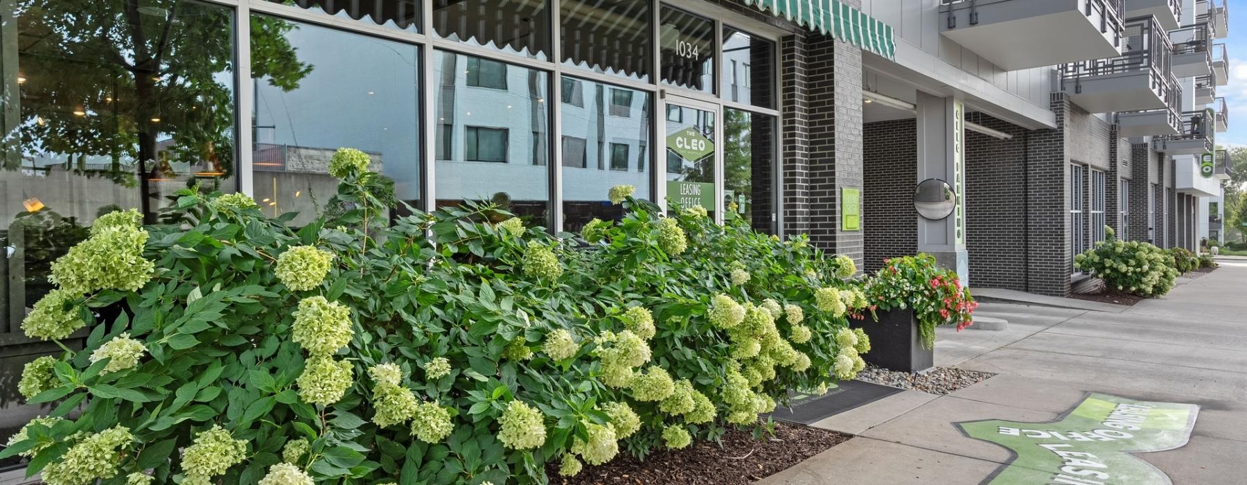 a building with plants and flowers